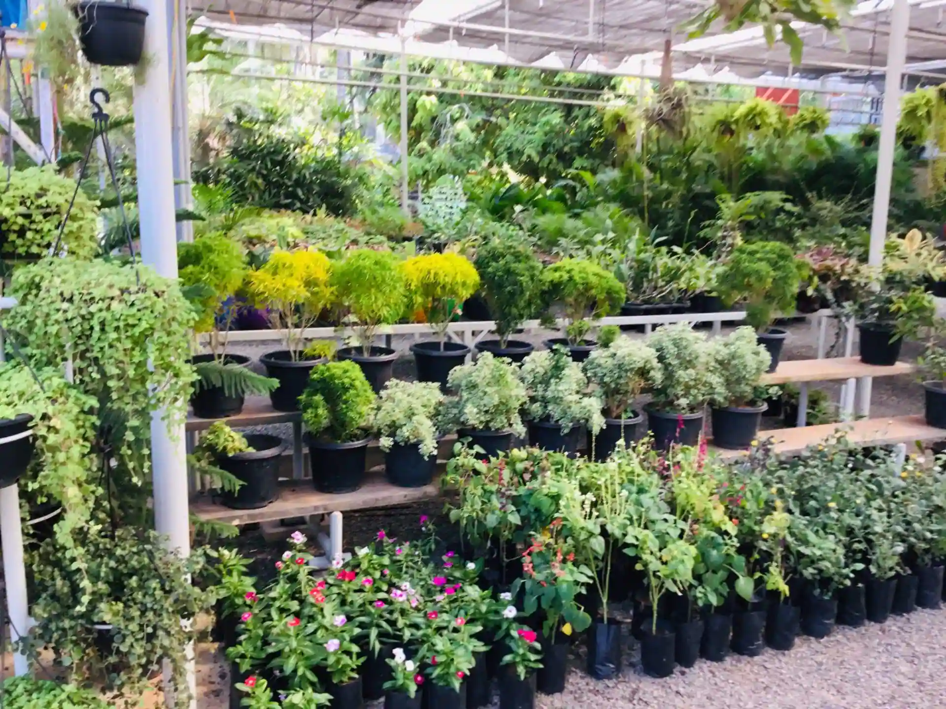 Garden Centers